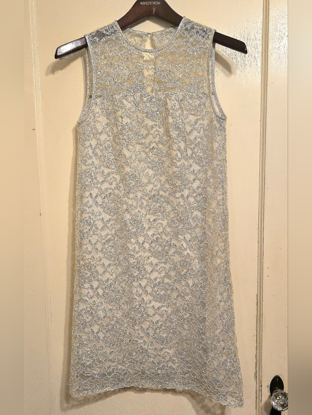 1960s Joan Arkin Cocktail Dress Silver Thread Lace Net Silky Lined Vintage Xs